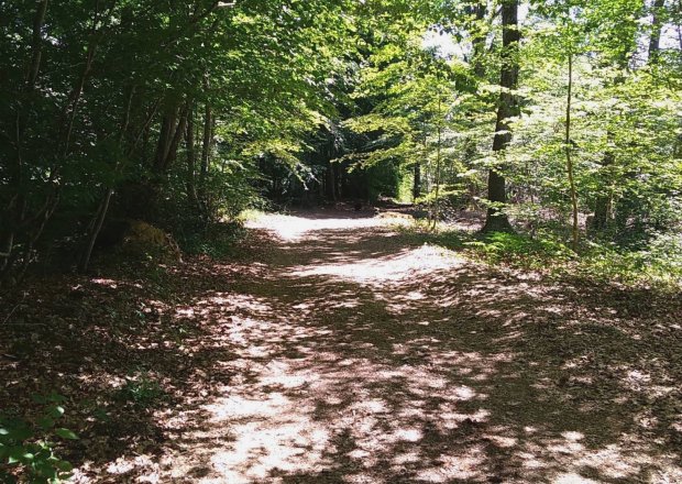 Praktische informatie en omgeving — foto 15