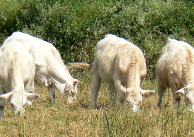 Praktische informatie en omgeving — foto 6